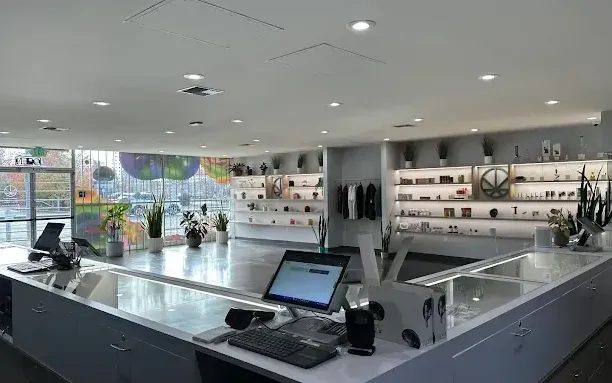 Bright modern interior of Cannavine dispensary with display shelves and counter