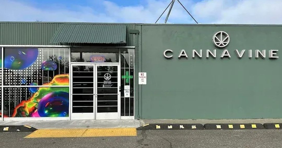 Cannavine dispensary storefront with green wall and colorful window art in Santa Rosa
